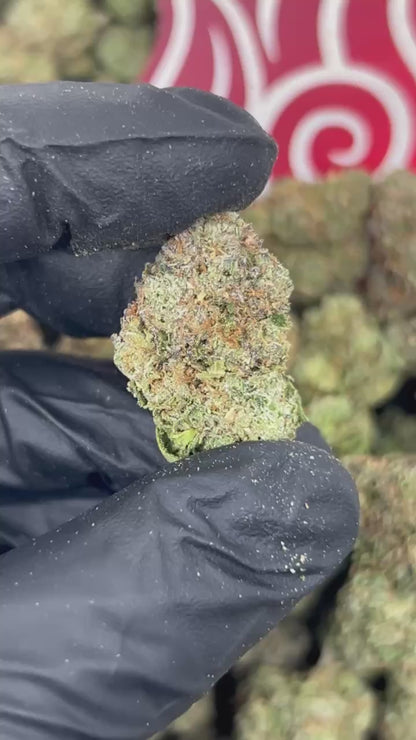 (#N-EA812) Grape Jelly 🍇