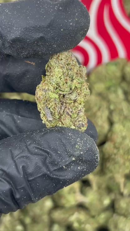 (#B-EB069) Snowcone Slush 🧊