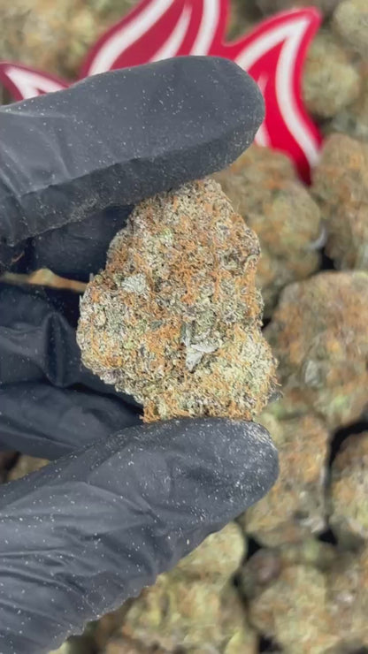 (#B-EA047) Bubba Gum 🫧