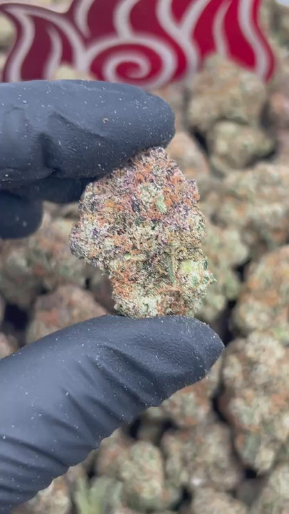 (#N-EA807) Rocket Fuel Runtz 🚀