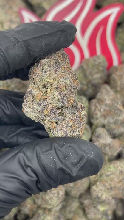 (#N-CM1303) Peanut Butter Gelato 🥜