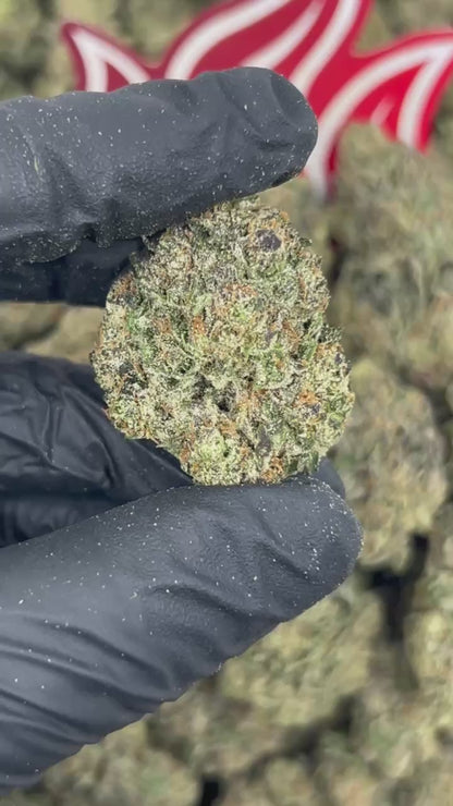 (#N-EB329) Banana Sundae 🍌