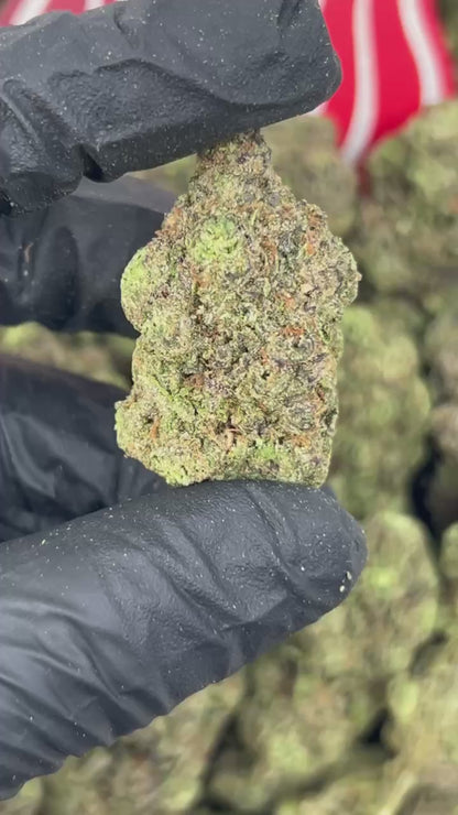 (#N-EB324) Purple Pop Rockz 💜