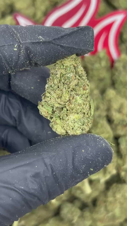 (#B-EC050) Pineapple Smash 🍍