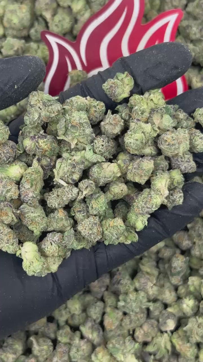 (#N-ECS398) Papaya Runtz Smalls 🥭