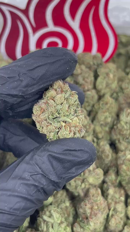 (#N-EC088) Cherry Diesel 🍒