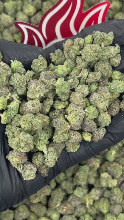 (#N-ECS470) Diesel Candy Smalls ⛽️